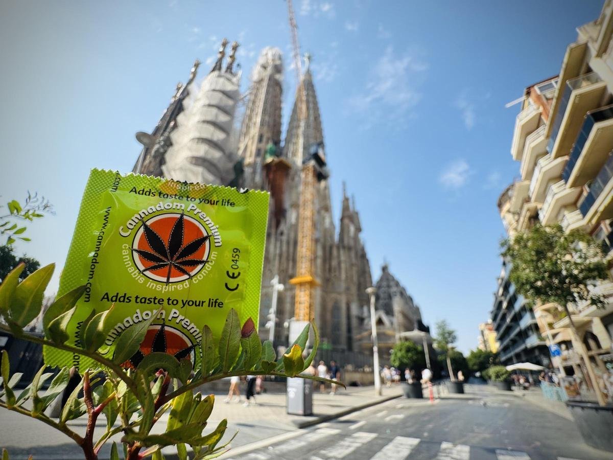 Infographic showing how to find an estanco near Sagrada Família Barcelona, including tobacco prices, opening hours, products, and travel tips for tourists in Spain.