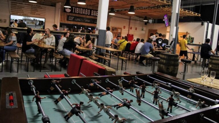 Infographic showing Tibidabo Brewery Barcelona craft beer guide with popular beer styles, food pairings, brewery tours, and Barcelona travel tips for 2026.