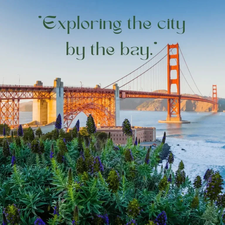 California Instagram Captions: Cute, Funny & Aesthetic Ideas