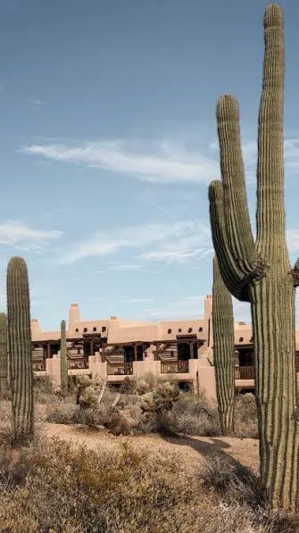 300+ Scottsdale Instagram Captions for Every Desert Adventure