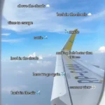 401+ Best Flight, Airplane & Travel Captions Funny • Short • Cute • Aesthetic • Inspirational • Airport • Window Seat • First Flight
