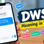 DWS meaning in text